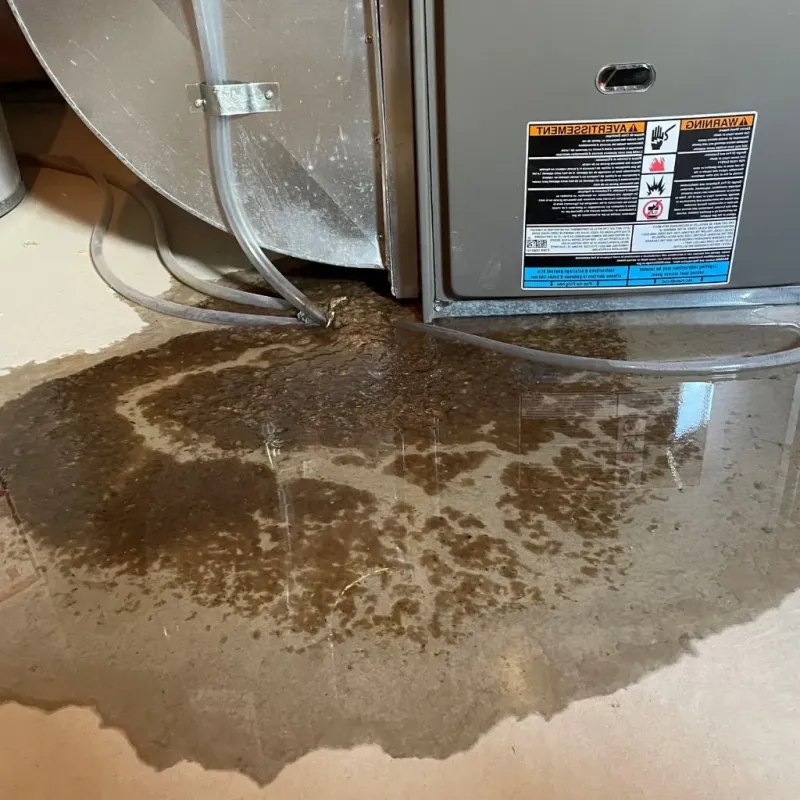 Pipe Burst and Leak Restoration in Sidney, NY